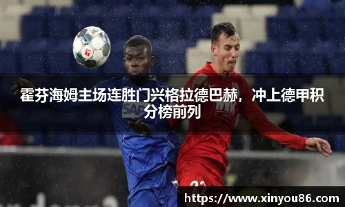 霍芬海姆主场连胜门兴格拉德巴赫，冲上德甲积分榜前列