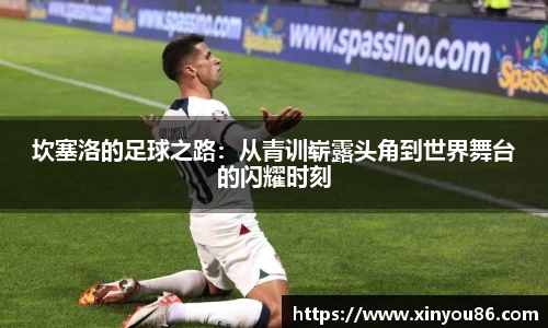 坎塞洛的足球之路：从青训崭露头角到世界舞台的闪耀时刻
