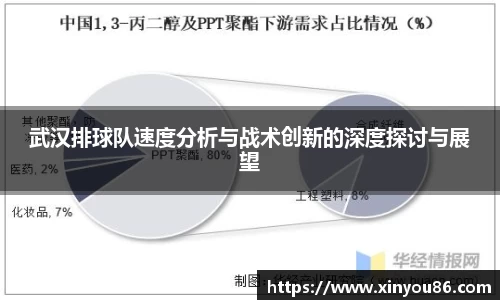武汉排球队速度分析与战术创新的深度探讨与展望